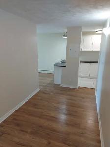 2 Bedroom ALL-INCLUSIVE Lowertown Apartment for Rent 198 Boteler - Photo 6