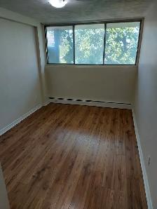 2 Bedroom ALL-INCLUSIVE Lowertown Apartment for Rent 198 Boteler - Photo 7