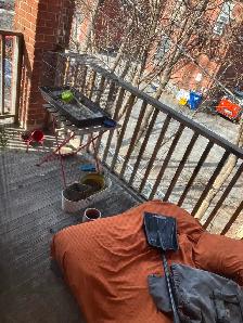2 Bedroom Centretown Apartment for Rent (357 Frank St) - Photo 2