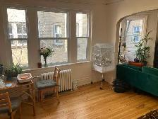 2 Bedroom Centretown Apartment for Rent (357 Frank St) - Photo 4