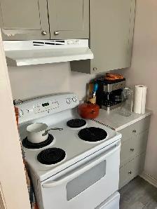 2 Bedroom Centretown Apartment for Rent (357 Frank St) - Photo 5