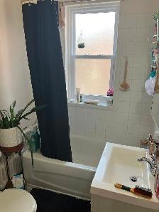 2 Bedroom Centretown Apartment for Rent (357 Frank St) - Photo 8