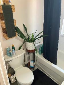2 Bedroom Centretown Apartment for Rent (357 Frank St) - Photo 9
