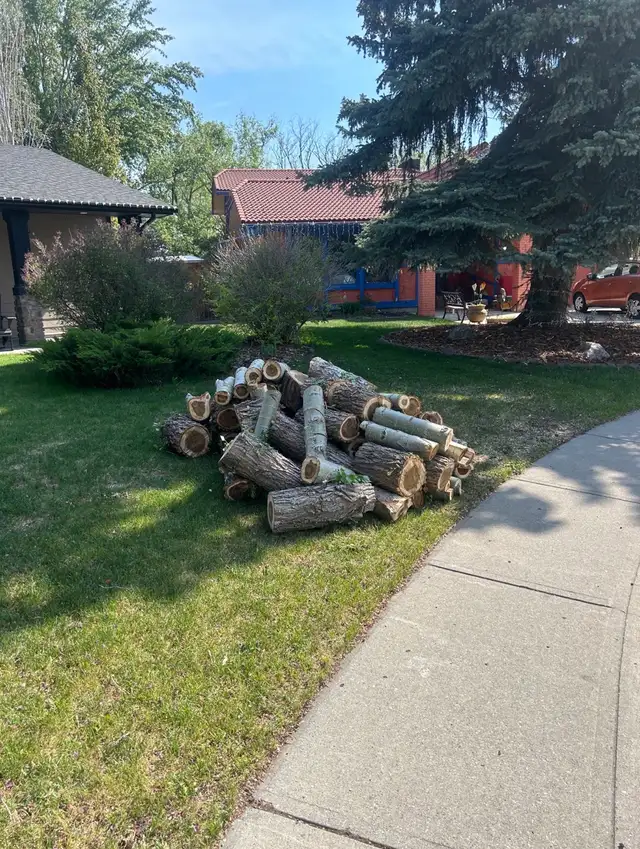 Free Firewood - read ad for address