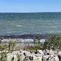 Luxury Room Rental -Stoney Creek @ Fruitland/QEW by lake Ontario - Photo 10