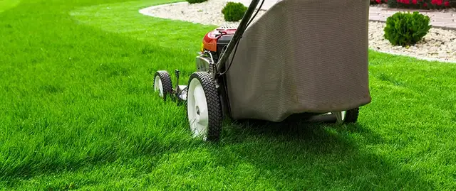 LAWN SERVICE