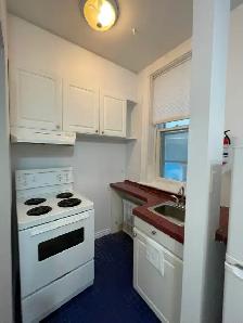 Nice bachelor unit- Downtown location- Available August 1st! - Photo 3