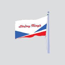Custom Printed Promo Feather Flags Pop up Tents - Photo 19