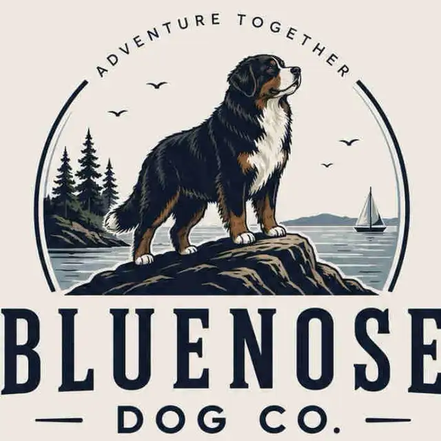 Adventure Dog Pack | Group Dog Adventures & Enrichment