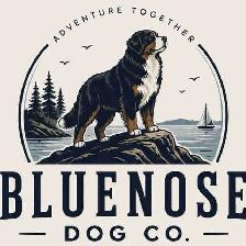 Adventure Dog Pack | Group Dog Adventures & Enrichment
