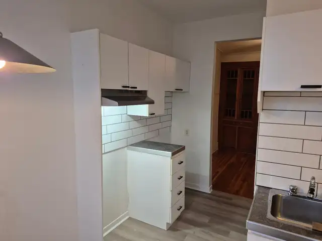 4 ½ St-Denis au coin de Castelnau (Rosemont Petite-Patrie)