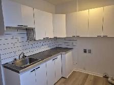 4 ½ St-Denis au coin de Castelnau (Rosemont Petite-Patrie) - Photo 2