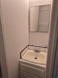 4 ½ St-Denis au coin de Castelnau (Rosemont Petite-Patrie) - Photo 4