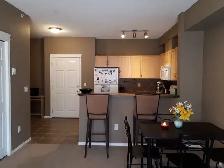 1bd plus den Condo Available Immediately! All Utiliites Incl