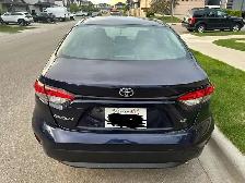 2020 Toyota Corolla - Photo 6