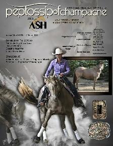 2026 APHA colt - Photo 7