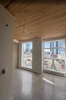 26-028 Modern bachelor units in the North End - Photo 2