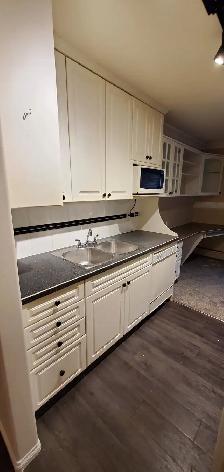 Cat Friendly Walk-Out Suite ONE BED CONDO! - Photo 2