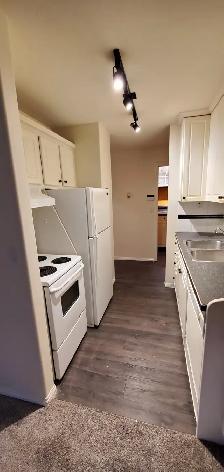Cat Friendly Walk-Out Suite ONE BED CONDO! - Photo 3