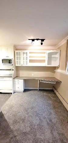 Cat Friendly Walk-Out Suite ONE BED CONDO! - Photo 5