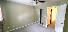 Cat Friendly Walk-Out Suite ONE BED CONDO! - Photo 8
