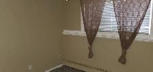 Cat Friendly Walk-Out Suite ONE BED CONDO! - Photo 9