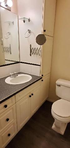 Cat Friendly Walk-Out Suite ONE BED CONDO! - Photo 11