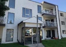 IN SUITE LAUNDRY! 2  BED TOP FLOOR SUITE SMALL PET FRIENDLY!