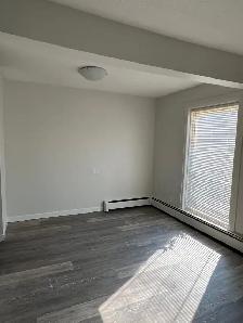 IN SUITE LAUNDRY! 2  BED TOP FLOOR SUITE SMALL PET FRIENDLY! - Photo 4