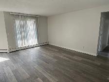 IN SUITE LAUNDRY! 2  BED TOP FLOOR SUITE SMALL PET FRIENDLY! - Photo 5