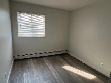 IN SUITE LAUNDRY! 2  BED TOP FLOOR SUITE SMALL PET FRIENDLY! - Photo 6