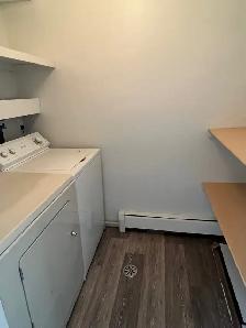IN SUITE LAUNDRY! 2  BED TOP FLOOR SUITE SMALL PET FRIENDLY! - Photo 7