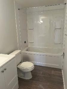 IN SUITE LAUNDRY! 2  BED TOP FLOOR SUITE SMALL PET FRIENDLY! - Photo 9