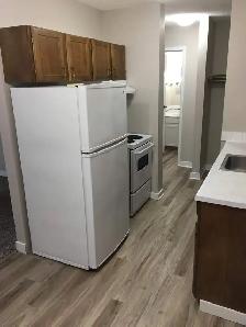 Small Pet Friendly 1 Bedroom Suite with Elevator! 2 Weeks Free! - Photo 2