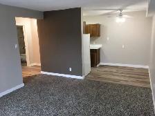 Small Pet Friendly 1 Bedroom Suite with Elevator! 2 Weeks Free! - Photo 3