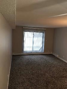 Small Pet Friendly 1 Bedroom Suite with Elevator! 2 Weeks Free! - Photo 4