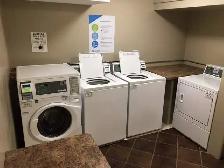 Small Pet Friendly 1 Bedroom Suite with Elevator! 2 Weeks Free! - Photo 8