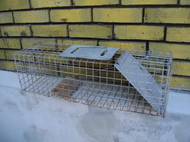 SMALL ANIMAL TRAP