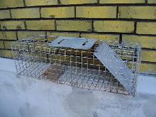 SMALL ANIMAL TRAP