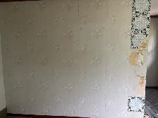 looking for handyman - Photo 2
