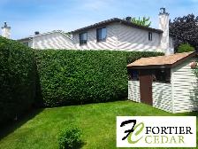 Fortier Cedar Hedge Trimming - La Taille Des Haies De Cèdres - Photo 5