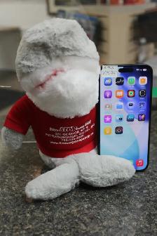 iPhone 16 Plus