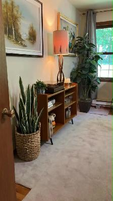 Mid century. TEAK TECK. 2 disponibles. Buffet, bibliothèque, bah