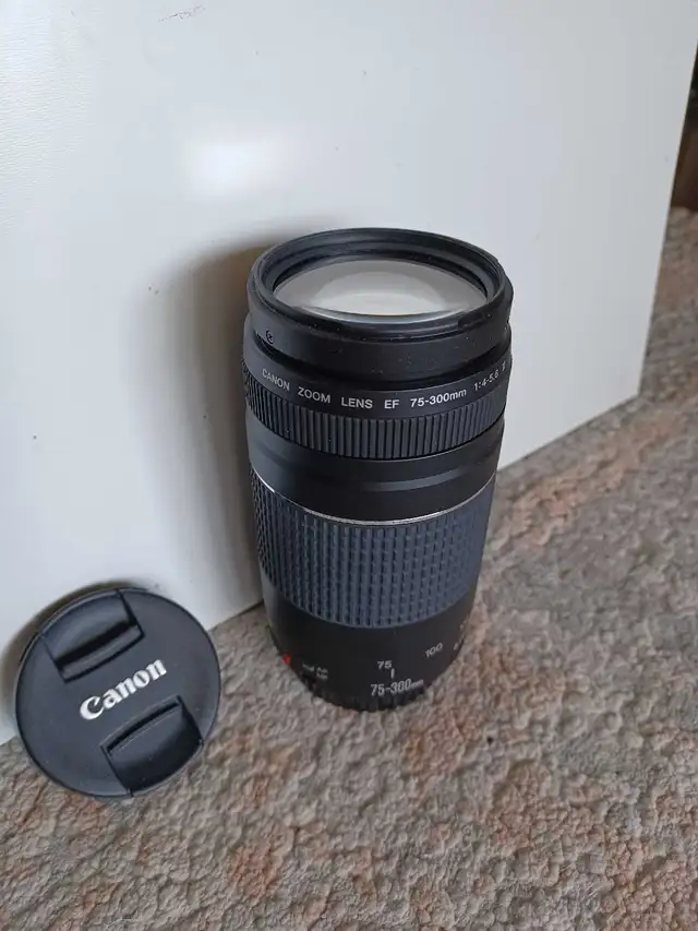 Canon Zoom Lens EF 75-300mm 1:4-5.6 III