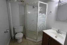1 Bedroom Basement Apartment At Bayview/Major Mackenzie - Photo 4
