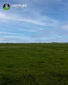 638.18 Acres | RM of Grayson # 184 | Near Waldron, SK - Photo 2