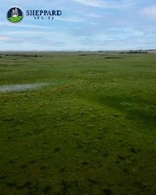 638.18 Acres | RM of Grayson # 184 | Near Waldron, SK - Photo 3