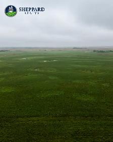 638.18 Acres | RM of Grayson # 184 | Near Waldron, SK - Photo 4