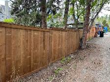 Fence and exterior