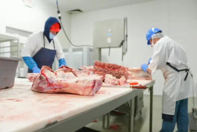 Butcher Aurora